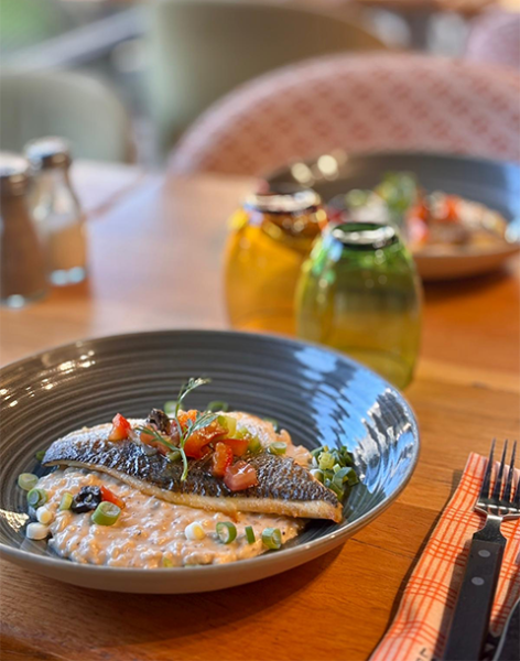 La Ferme - Restaurant Marseille Vieux-Port - Restaurant Place Thiars Marseille - restaurant poisson vieux port marseille - manger a Marseille